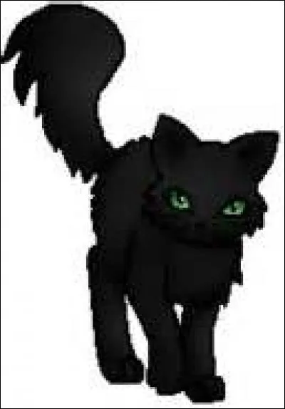 Comment Ombre est-elle morte?