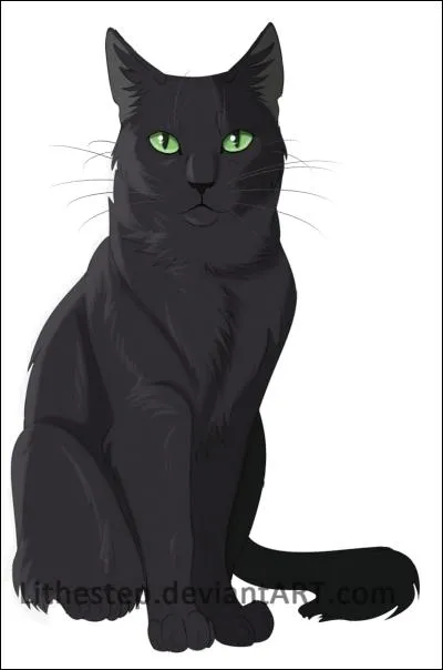 Quelle est sa particularité?