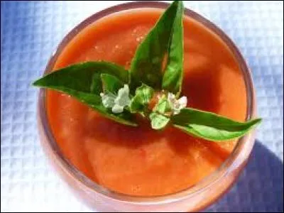 Comme c'est un restaurant très chic et cher à la fois, mieux vaut manger bien et beaucoup. Donc, vous reprenez un autre plat; cette fois-ci, un plat de légumes. C'est une soupe froide d'origine espagnole avec des concombres de l'ail du pain... 
Mais malheureusement, le serveur a encore besoin de vous pour retrouver le nom de cette soupe ! Saurez-vous l'aider ?