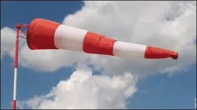 Quand le vent sifle, la puce est a la naine.