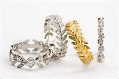 Cette image repr&eacute;sente-t-elle des "jewels" ?