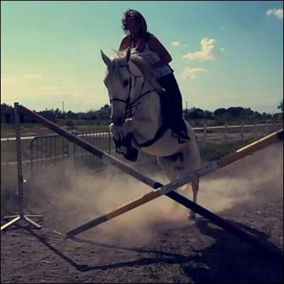 Comment s'appelle cet obstacle ?