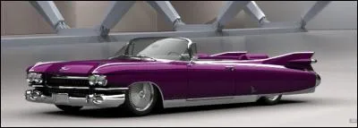 Cette____est idéale pour les balades en bord de mer.