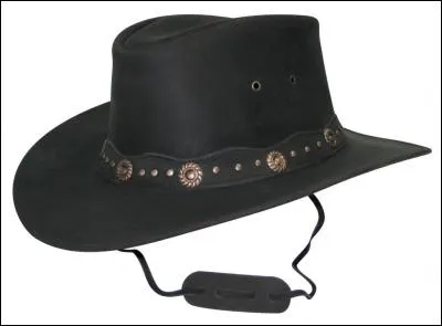 Woody a un chapeau...