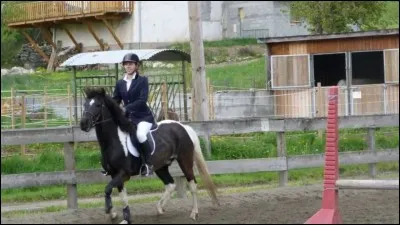 Lequel est le mécanisme du galop ?