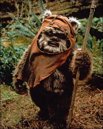 Quel est le nom de cet ewok ?