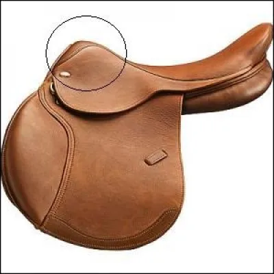 Comment s'appelle cette partie de la selle ?