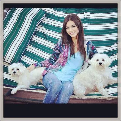 Quels sont les pr&eacute;noms de ses deux chiens ?