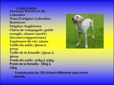 Quel était son nom d'origine ?