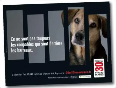 Que risquez-vous, selon la loi, si vous abandonnez un animal ?