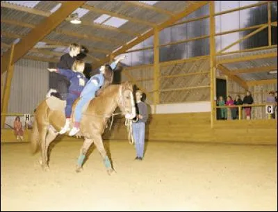 Comment s'appelle cette activité ?