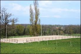 Quiz Galop 1