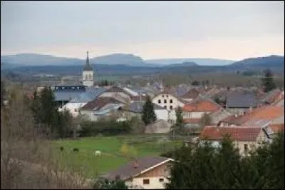 Village de l'Ain, Brénod se situe en région ...
