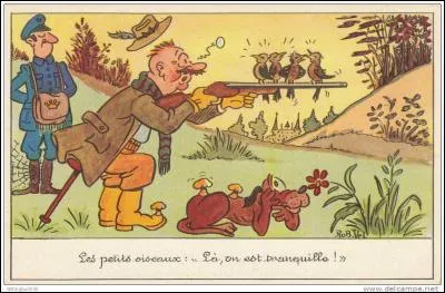 Ces oiseaux sont fort prisés, certains sont protégés, mais chassés malgré la loi. L'un d'eux, l'ortolan est piégé, saurez-vous le reconnaître ?