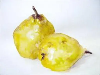 Tenaille qui permet de tailler un diamant :