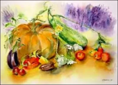 Échelle de sensibilité en photographie :