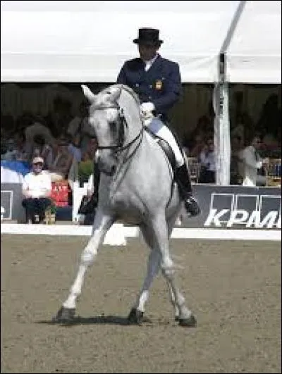 Comment se nomme ce mouvement ?