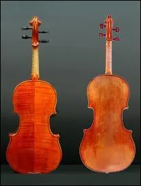 Combien de cordes un violon a-t-il ?