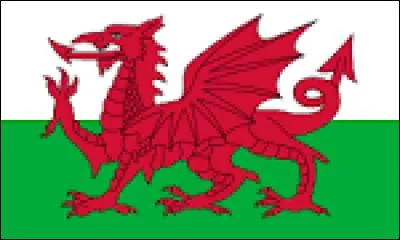 À quel pays appartient ce drapeau ?