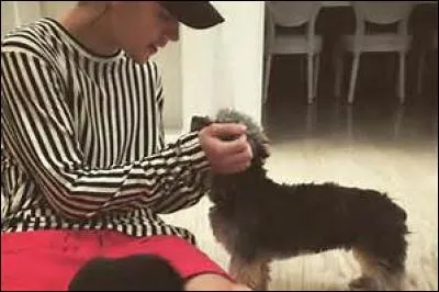 Comment s'appelle son chien ?