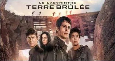 Dans "Le Labyrinthe 2", par quoi sont-ils menacés ?