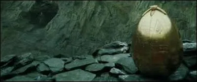 Quel dragon Harry Potter doit-il affronter ?