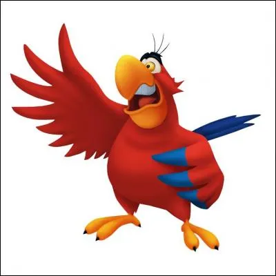 Dans le dessin animé "Aladdin", comment se nomme le perroquet de Jafar ?