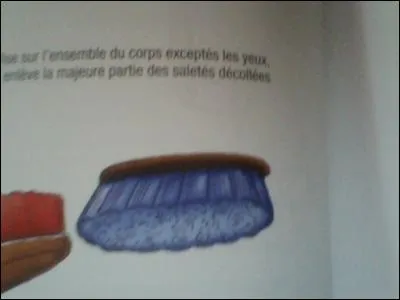 Comment s'appelle (suivant l'image) cette brosse ?