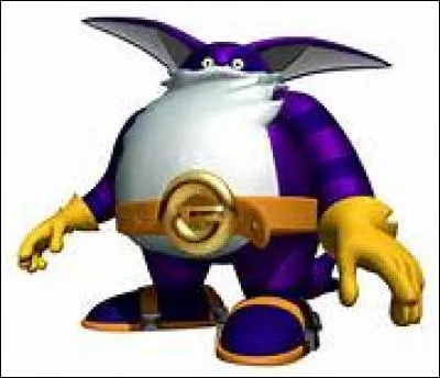 Quel animal était le plus fidèle ami de Big the Cat ?