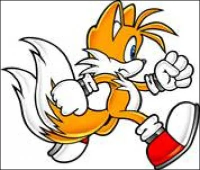 Au départ, de qui Miles « Tails » Prower est-il fan ?