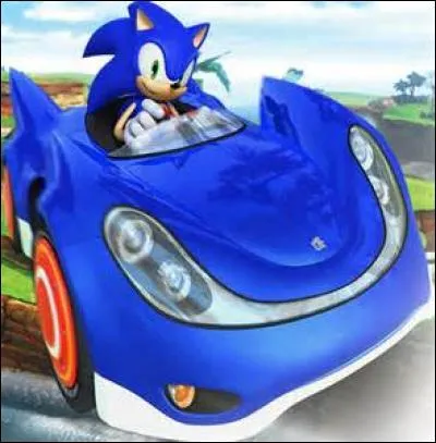 Quel animal Sonic est-il ?