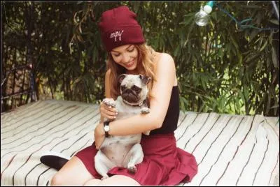 Comment s'appelle ce petit chien ?