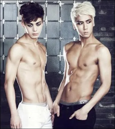 Les abdos que les StarLight préfèrent sont ceux de :