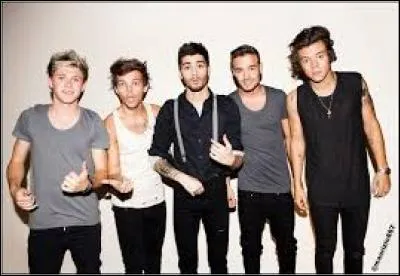 Qui des One Direction est le plus souvent saoul ?