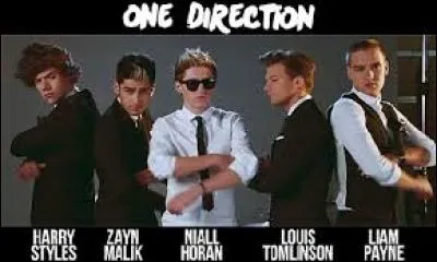Qui des One Direction aime le couscous ?
