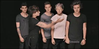 Qui des One Direction a 2 soeurs ?