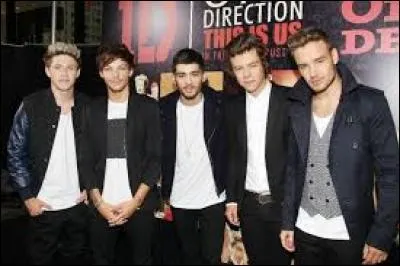 Qui a choisi One Direction comme nom du groupe ?