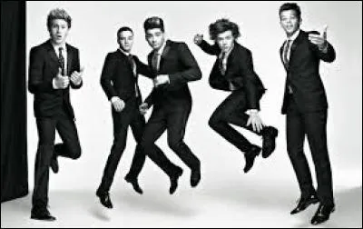 Qui des One Direction aime les chats ?