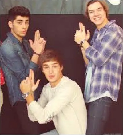 Qui des One Direction a le plus de fans ?