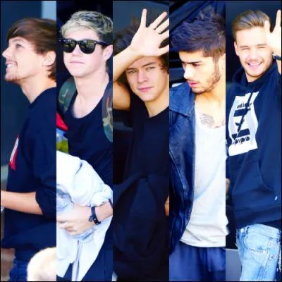 Qui, dans le groupe, est un Irlandais?