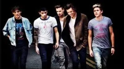 Qui des One Direction aime se promener nu ?