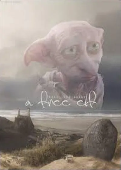 Toujours d'après cette personne, quel est le numéro de l'article concernant le règlement sur le traitement des créatures partiellement humaines ?