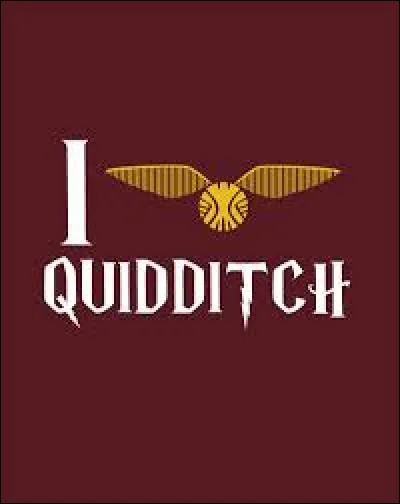 Ron propose à Harry d'aller faire une partie de Quidditch. Mais où ?