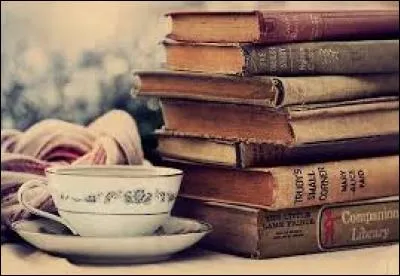 Quel livre de cours Ginny était-elle en train de rafistoler ?