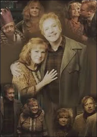 Quel plat Mrs Weasley a-t-elle concocté pour son mari ?