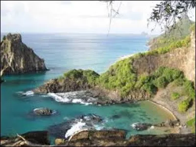 De quel pays fait partie la baie des Cochons ?