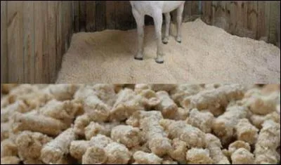 Les litières existantes sont :