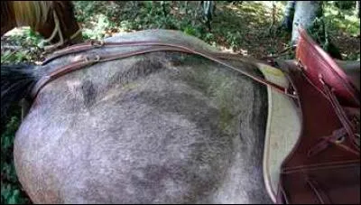 Dans quel cas doit-on utiliser des équipements supplémentaires accrochés à la selle ?