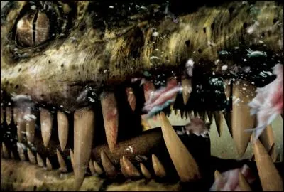 Découvrez, par cette photo, une citation !