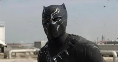 Qui est la Panthère noire ?